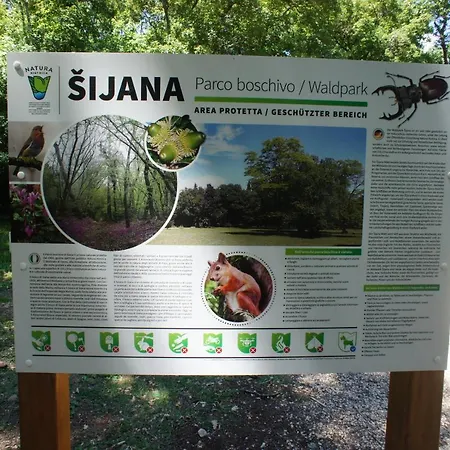 Apartamento Kaiserwald *