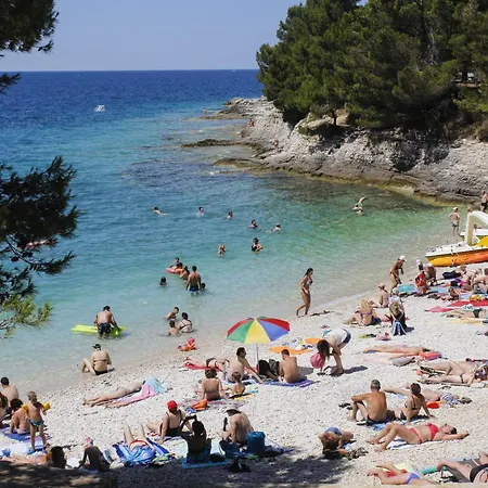 Kaiserwald Apartamento