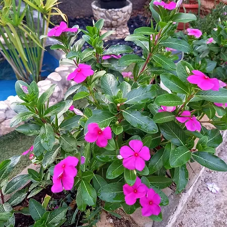 Kaiserwald Apartamento