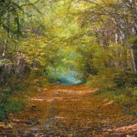 Kaiserwald Lejlighed
