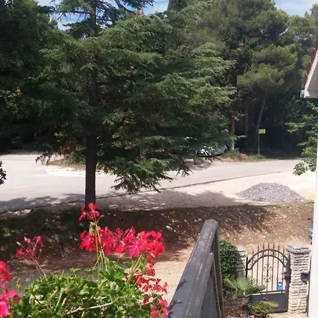 Kaiserwald Apartment *