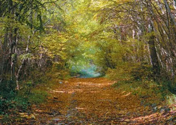 Kaiserwald Lejlighed