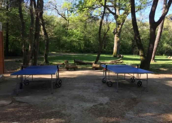 Kaiserwald Lejlighed