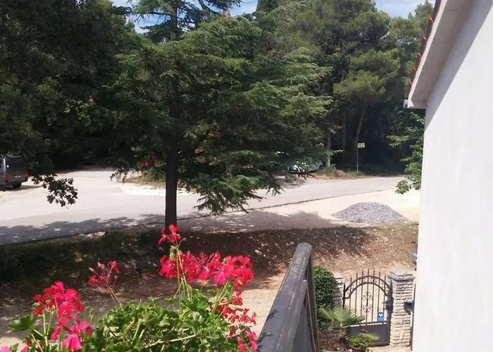 Kaiserwald Lejlighed *