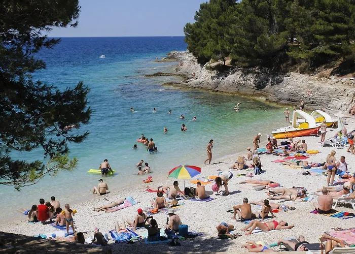 Kaiserwald Lejlighed